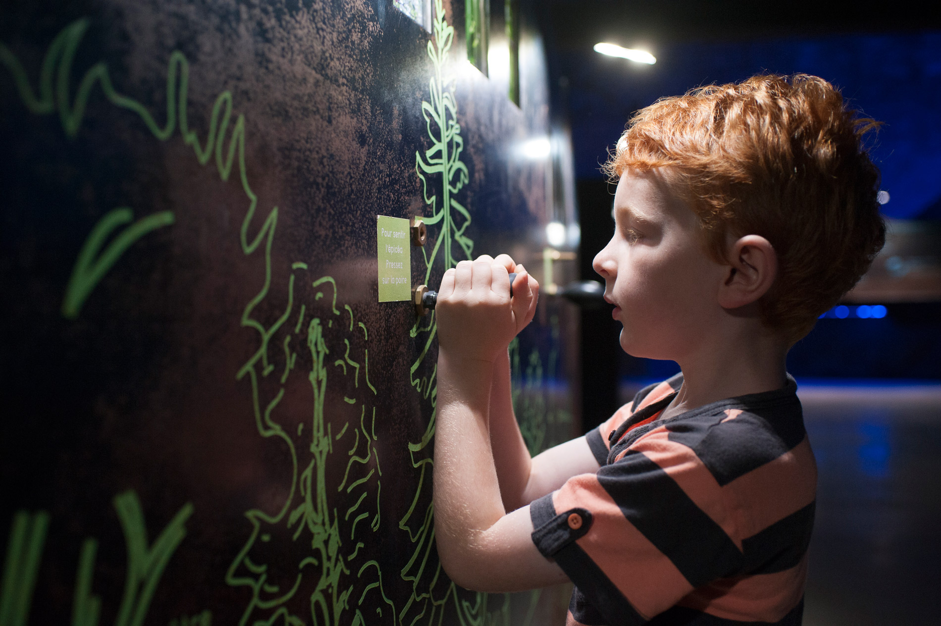 Domaine de Vendresse parc de loisirs dans les Ardennes